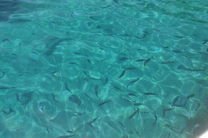 4-Hour Private Boat Tour in Corfu - Who this private Corfu boat tour is best for