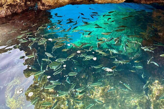 A Relaxing Private Corfu Sea Tour for Cruise Passengers - Stop 2: Mouse Island swim time with admission included