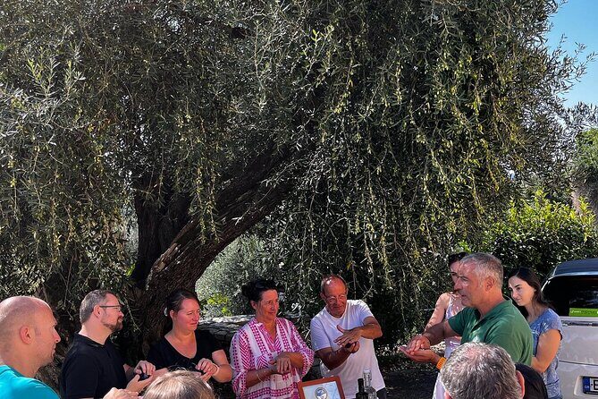 Cooking Classes and olive oil tasting.The real taste of Greece! - What the lunch feels like: multi-course, social, and built for sharing