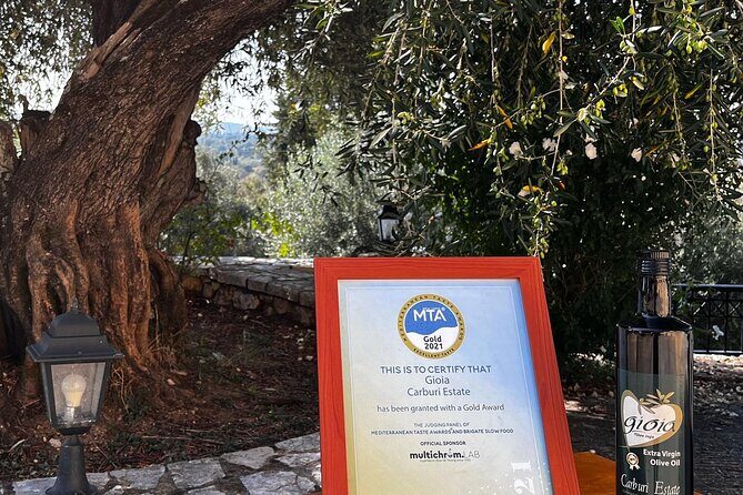 Cooking Classes and olive oil tasting.The real taste of Greece! - Price and value: why $120.68 can actually be a smart day