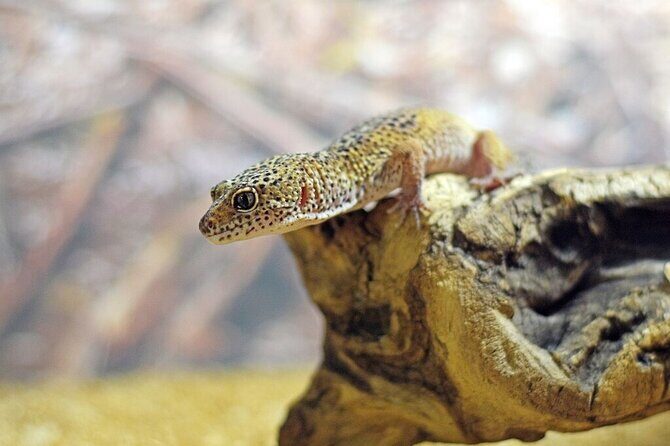 Corfu Aquarium Ticket with Tour Included - Meeting at Corfu Aquarium (Palaiokastritsa) without the stress