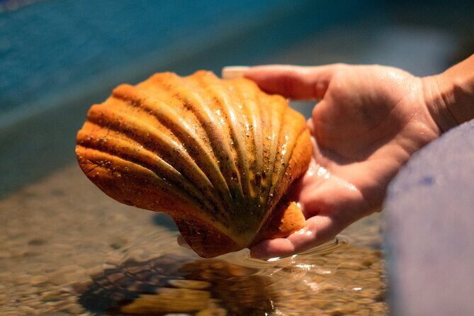 Corfu Aquarium Ticket with Tour Included - Value check: the ratings tell a consistent story