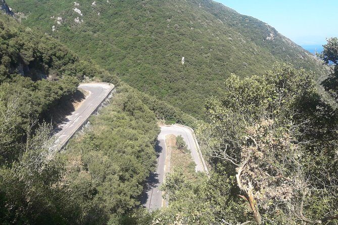 Corfu by bike: Countryside, Forests and Villages - The riding itself: olive groves, winding roads, and careful crossings