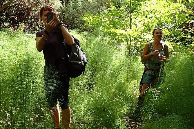 Corfu Countryside Hiking Tour - What This Corfu Countryside Hike Does Differently