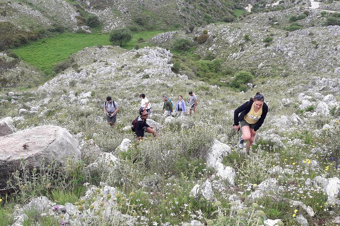 Corfu Countryside Hiking Tour - Highlights That Matter on the Day