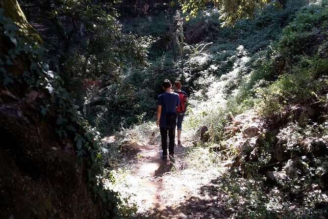 Corfu Countryside Hiking Tour - Who This Tour Fits (and Who Should Skip)