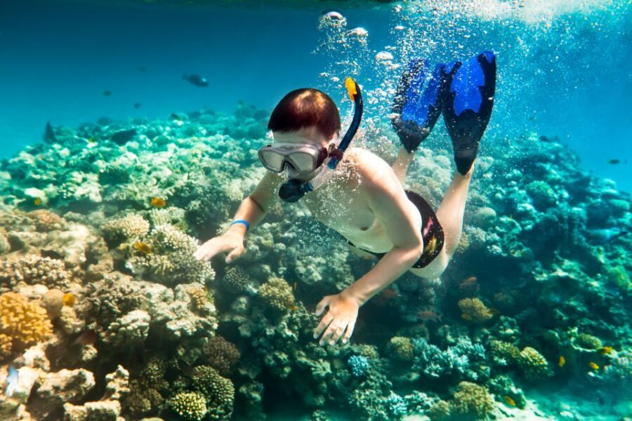 Corfu: Day Cruise to the Blue Lagoon with Visit to Syvota - Who should book this cruise (and who should skip it)