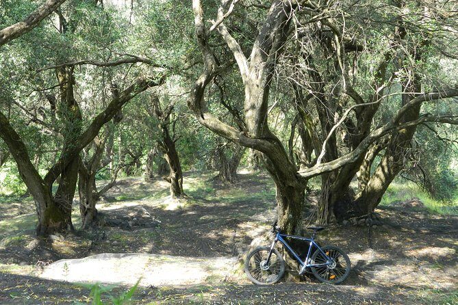 Corfu from Above: Hiking at the Highest Peak of Corfu - Stop 1: GEO Bicycling and More in Dassia (and why it matters)