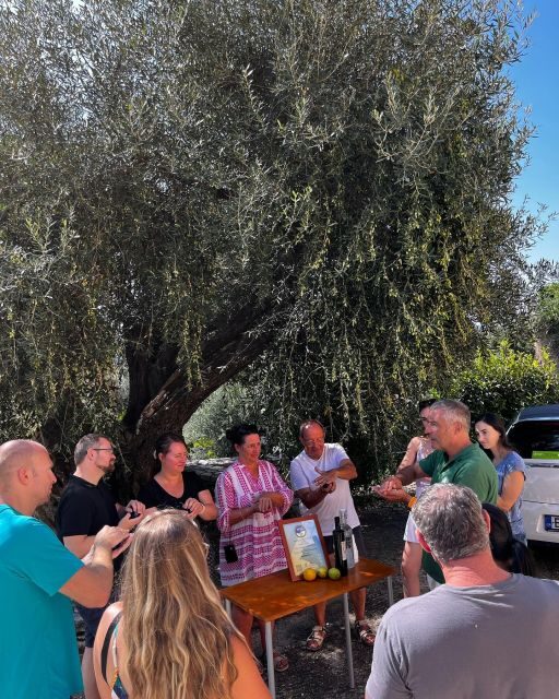 Corfu: Greek Cooking Class & Olive Oil Tasting - Olive oil tasting: what you learn matters when you shop later