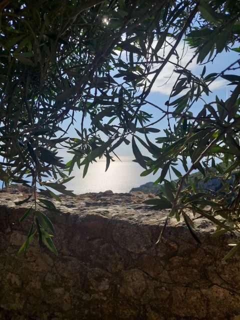 Corfu: Hiking in Olive Groves,Village,Sunset,with Swim Stop - Starting in Liapades with pastry and the real meeting point
