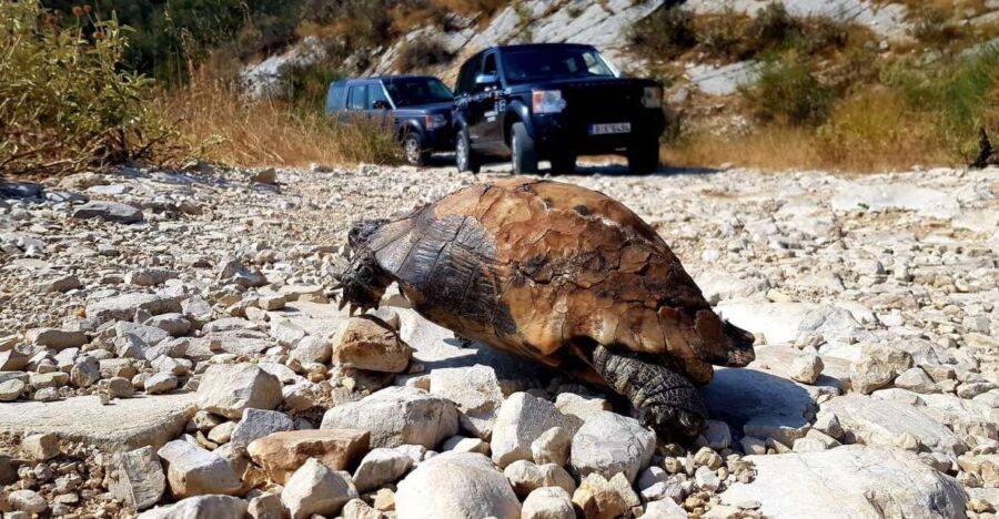 Corfu: Mount Pantokrator Shore Excursion - Meeting the Driver at the Cruise Port Without the Stress