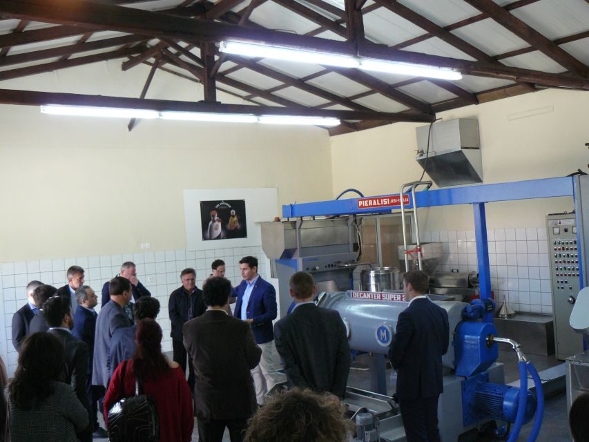 Corfu: Olive Oil Experience - The Governor's Olive Mill - Pickup and timing: why this feels like a half-day, even if it’s listed at 3 hours