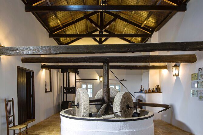 Corfu Organic Olive Oil Tasting at Family Farm - Who This Tour Fits Best (and Who Might Skip It)
