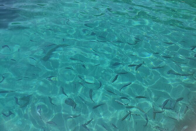 Corfu Private Boat Tour - 4-hour cruise: Old town sights, fortress views, Mouse Island, then Vido snorkeling time