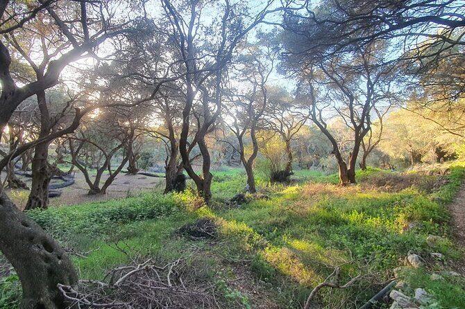 Hiking in the Olive Groves,Villages,Sunset,with Swim Stop - Where this hike fits on a Corfu trip