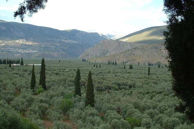Hiking in the Olive Groves,Villages,Sunset,with Swim Stop - Meeting point in Liapades: the start that sets the tone