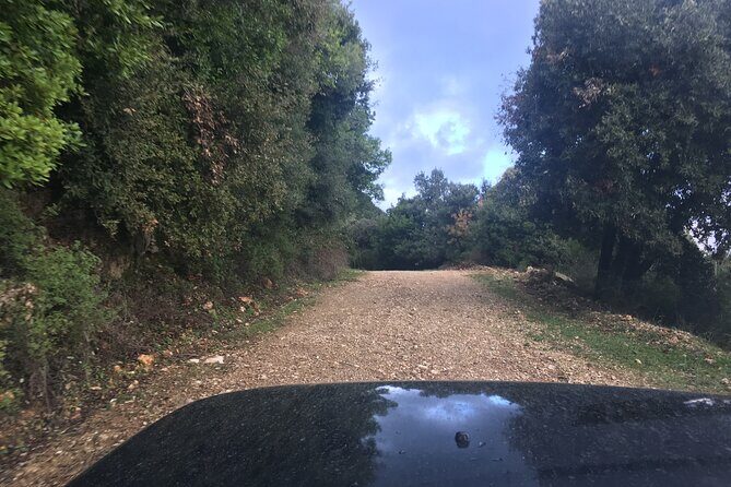 Land Rover Safari Corfu South Route - The Land Rover ride in real life: tight roads and skilled driving