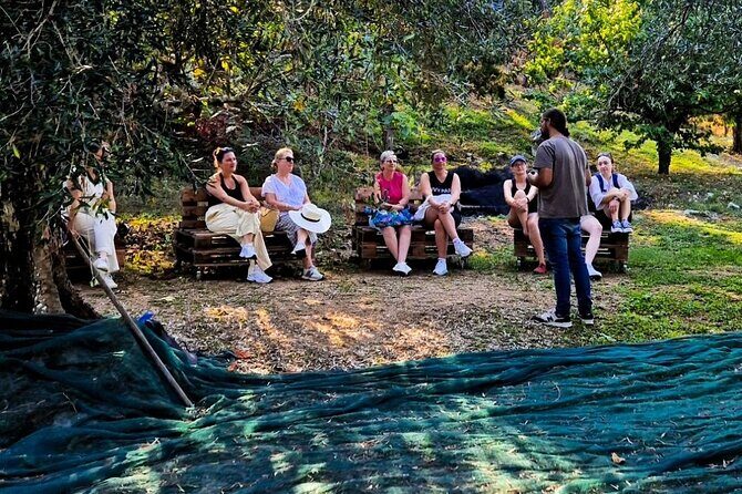North Corfu Olive Tour With Olive oil Tasting & Meze - The 10:00 Meeting Point and How to Plan Your Timing