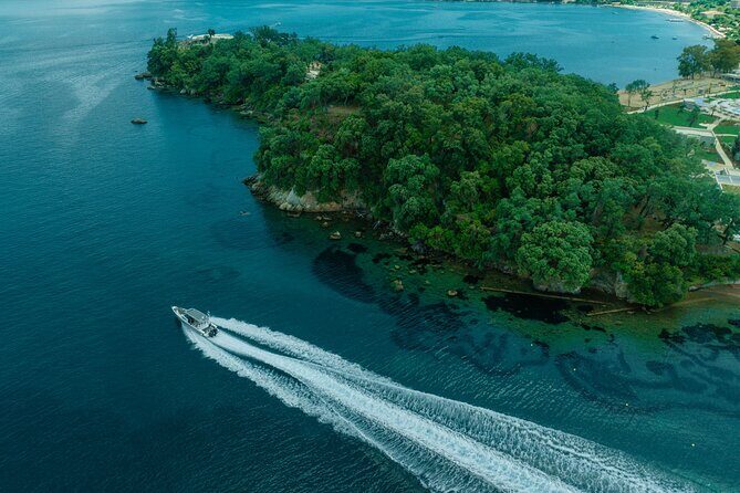 Private Half Day Cruise on a Speed Boat in Corfu island - Akoli Beach (1 hour): a quiet bay that works for all ages