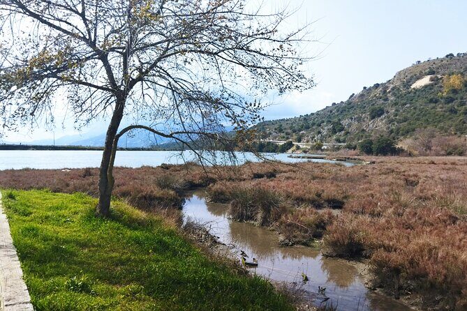Private tour to Albania from Corfu - Why Butrint Feels Like a Whole Time Machine