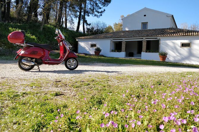 Savour The Flavors Of Corfu Vespa Scooter Tour - Stop one for sweets and kumquat treats at Lazaris Distillery