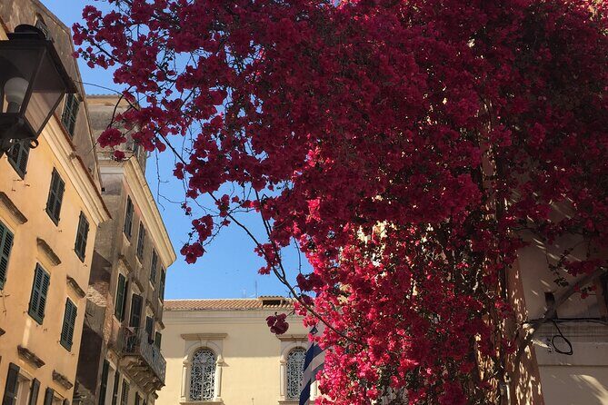 Small-group Corfu Town Historical Walking Tour - Morning or evening departure: how to choose the timing