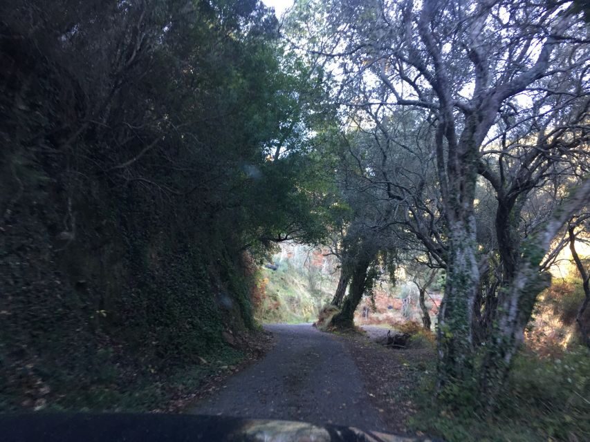 South Corfu Premium 4x4: Villages, Views & Flavours - Getting into the Jeep: small group feel and pickup reality