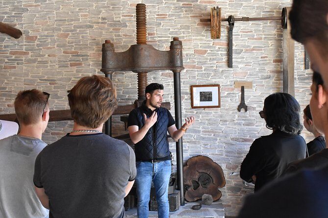 The Governor's Olive Mill Tour with Olive Oil Tasting - Walking through olive groves like you belong there