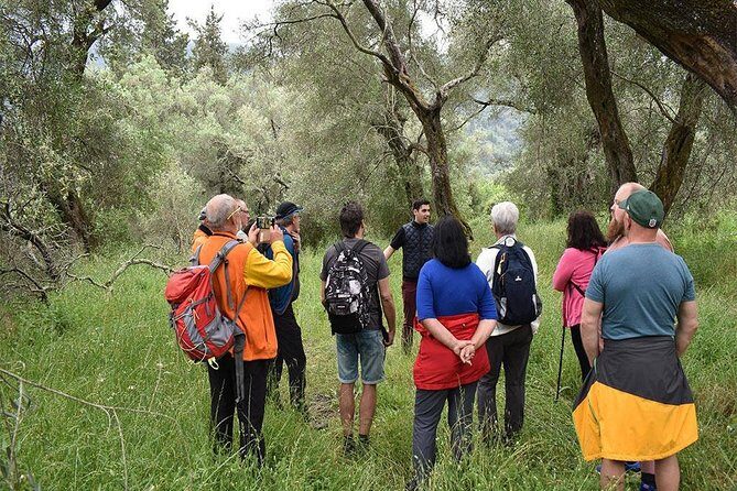 The Governor's Olive Mill Tour with Olive Oil Tasting - Greek delicacies and local pairings: what you’ll eat and drink