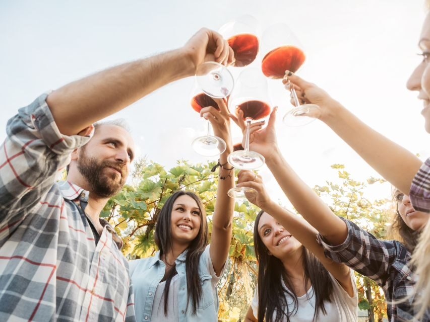 Vineyard Sips: Family Winery Tour & Gourmet Tasting in Corfu - What You Taste: White, Red, and Rose Paired With Local Snacks