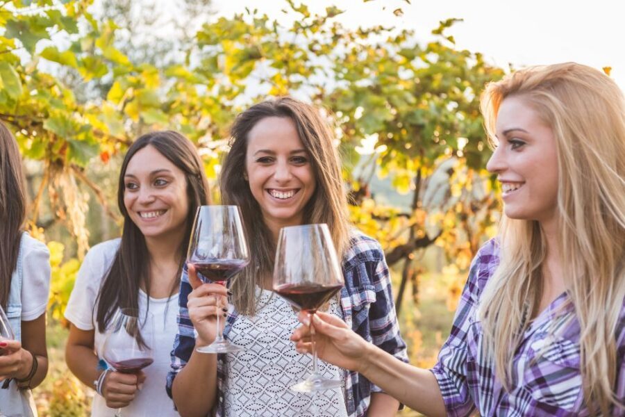Vineyard Sips: Family Winery Tour & Gourmet Tasting in Corfu - Who This Tour Fits Best (and Who Might Prefer Something Else)