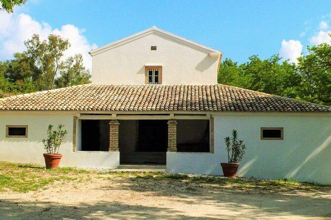 Winery tour with Wine and Olive tasting in Corfu - Theotoky Estate in Corfu: a calm, olive-and-vine setting