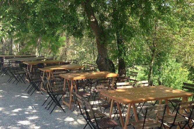 Winery tour with Wine and Olive tasting in Corfu - Organic wine on Corfu time: why the cellar tour helps