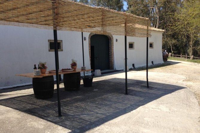 Winery tour with Wine and Olive tasting in Corfu - Practical tips so your tasting day goes smoothly